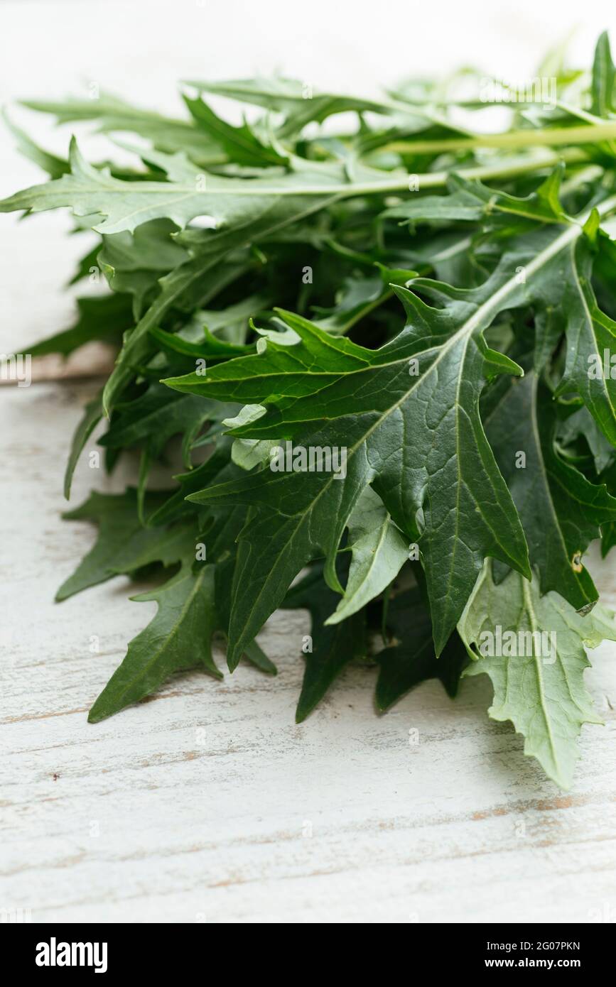 Fresh Mizuna (Brassica rapa var. niposinica) leaves. Stock Photo