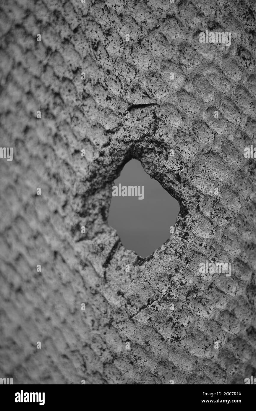 Hole leaf Black and White Stock Photos & Images - Alamy