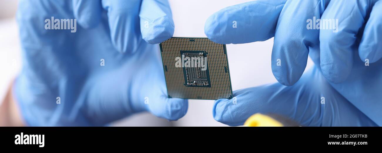 Hands in rubber gloves are holding microprocessor closeup Stock Photo