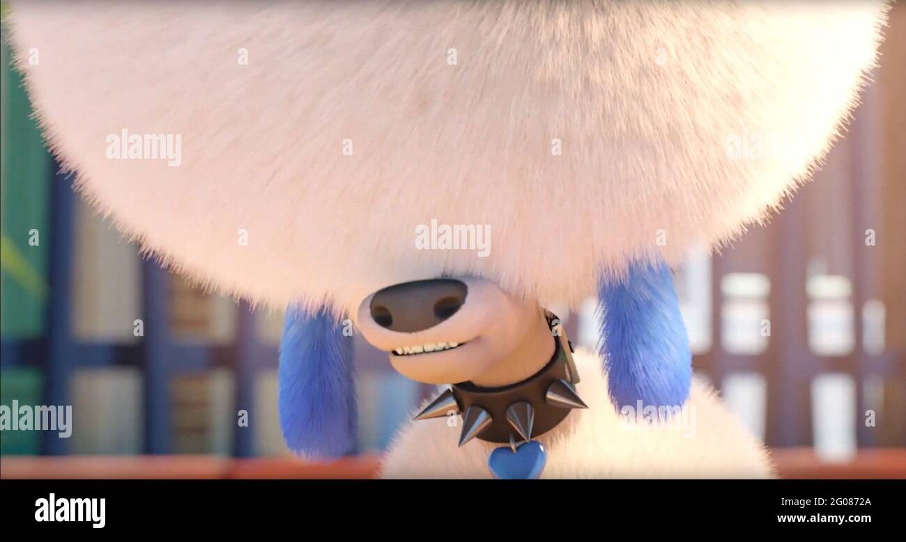 DOG GONE TROUBLE, (aka TROUBLE), DOG GONE TROUBLE, (aka TROUBLE), 2019. © Netflix /Courtesy