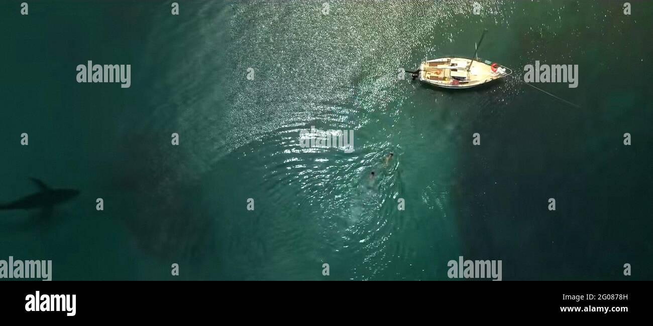 GREAT WHITE, 2021. © Altitude Film Distribution /Courtesy Everett