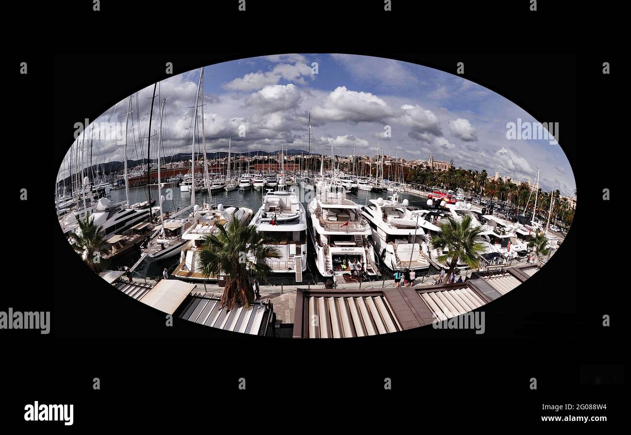 Palma de Mallorca fotografata con un obiettivo fisheye, il porto turistico  in primo piano Stock Photo