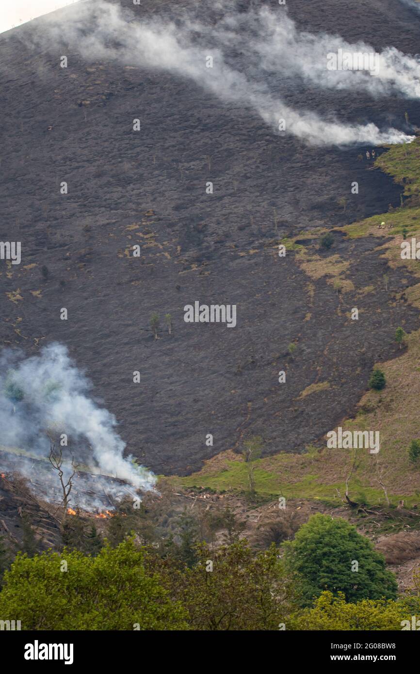 Gorse fire in Rhewl near Llangollen Stock Photo