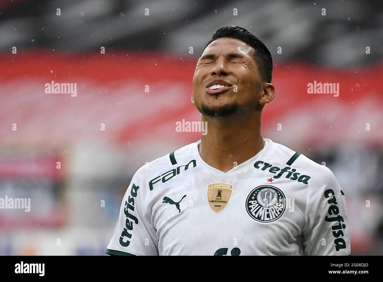 Rony palmeiras hi-res stock photography and images - Page 5 - Alamy