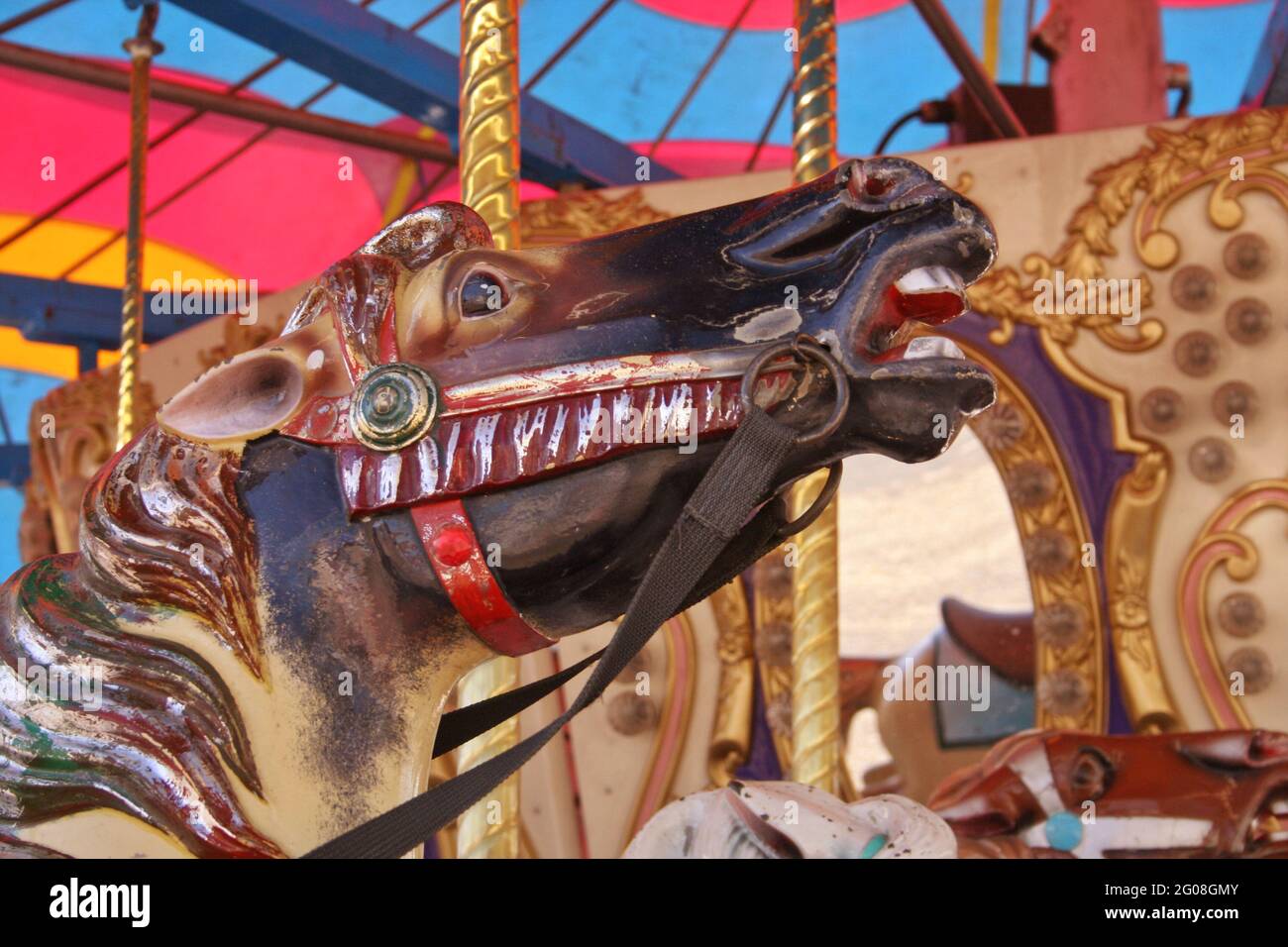 Carousel horses at rural carnival in East Texas Stock Photo Alamy