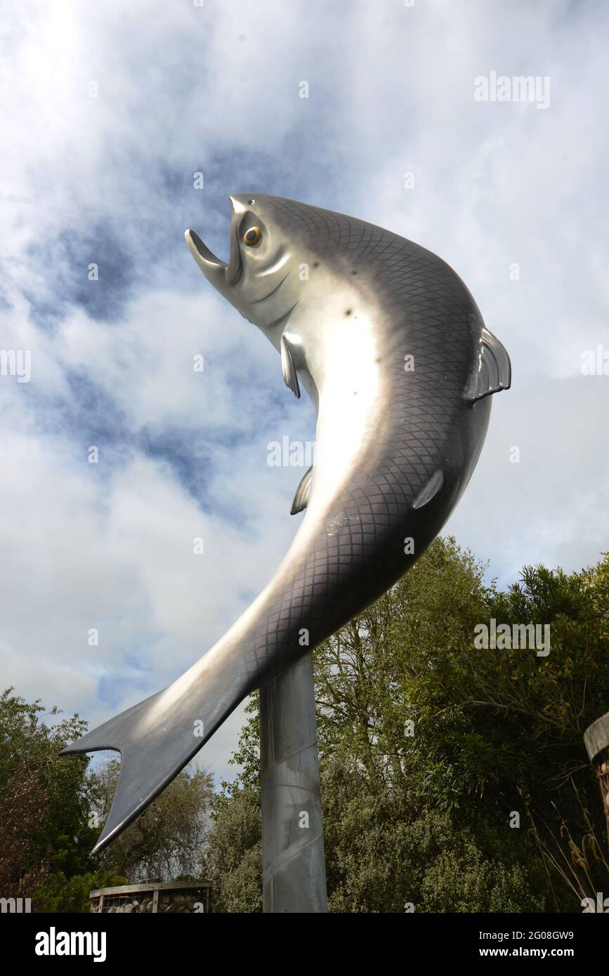 The iconic trout statue in Rakaia, New Zealand, welcomes fishermen to the nearby Rakaia River Stock Photo
