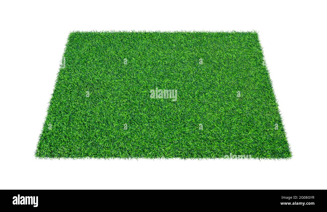 Green carpet grass isolated on white background Stock Photo Alamy