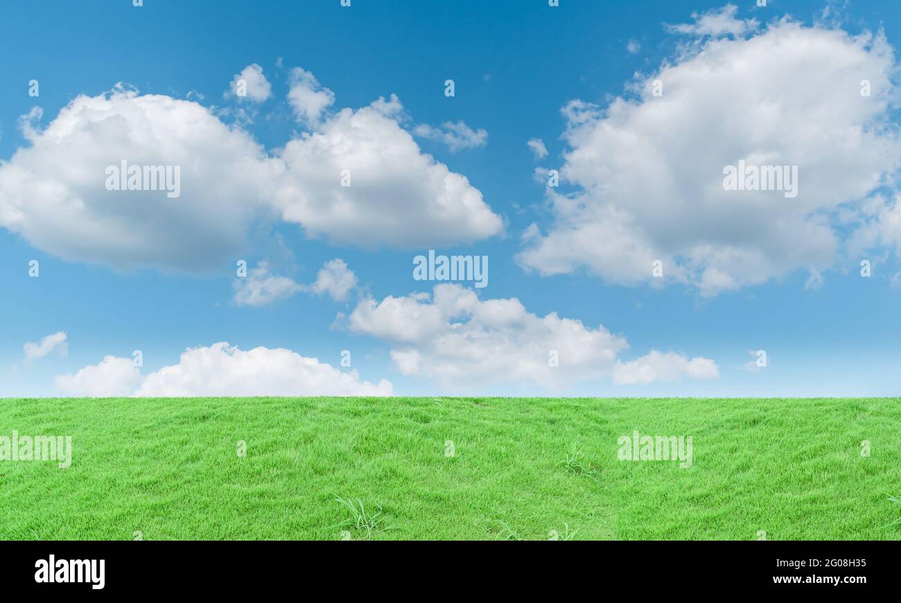 Green grass field and blue sky with clouds background Stock Photo - Alamy