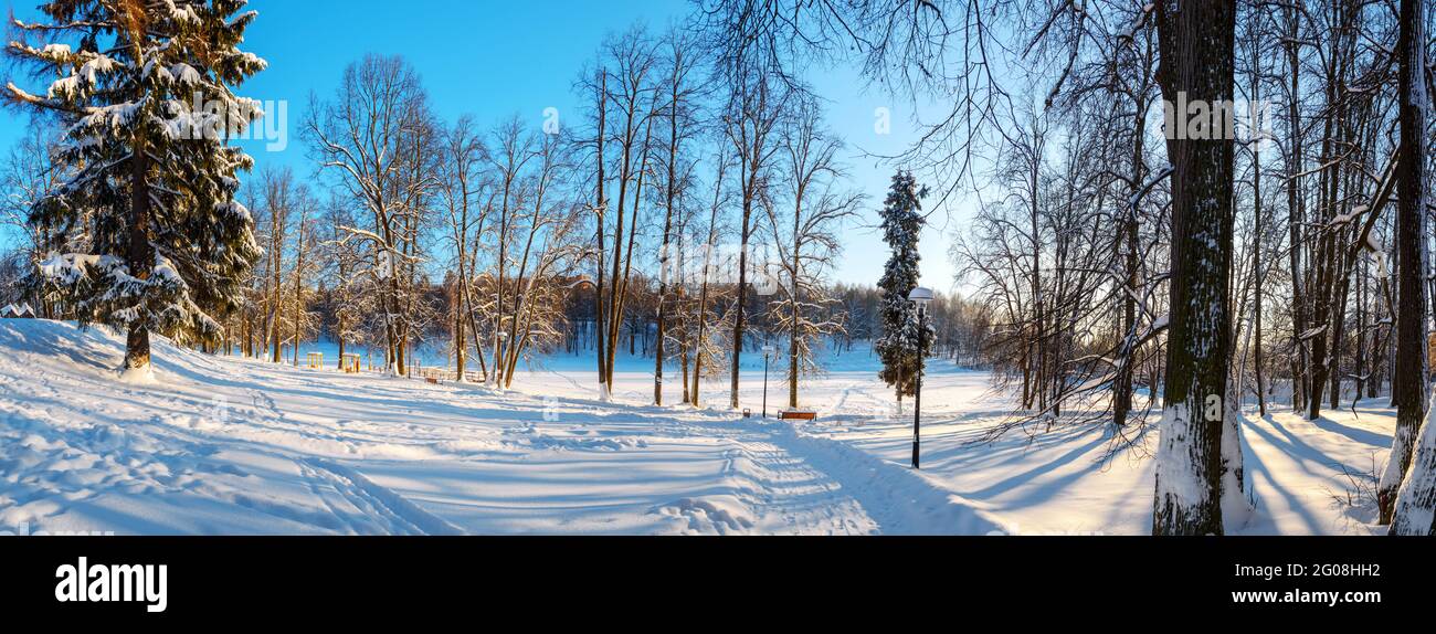 Beautiful winter morning landscape.Panoramic sunny view of snow covered trees in empty park during frosty winter morning. Stock Photo
