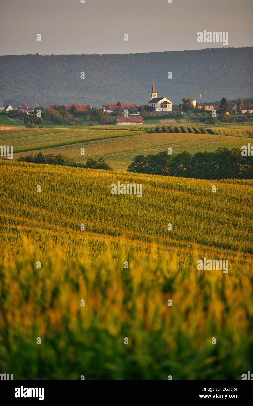 Outre Rhin FRANCE, BAS-RHIN (67), AGRICULTURAL LANDSCAPE OF OUTRE-FOR?T AND CHURCH ...