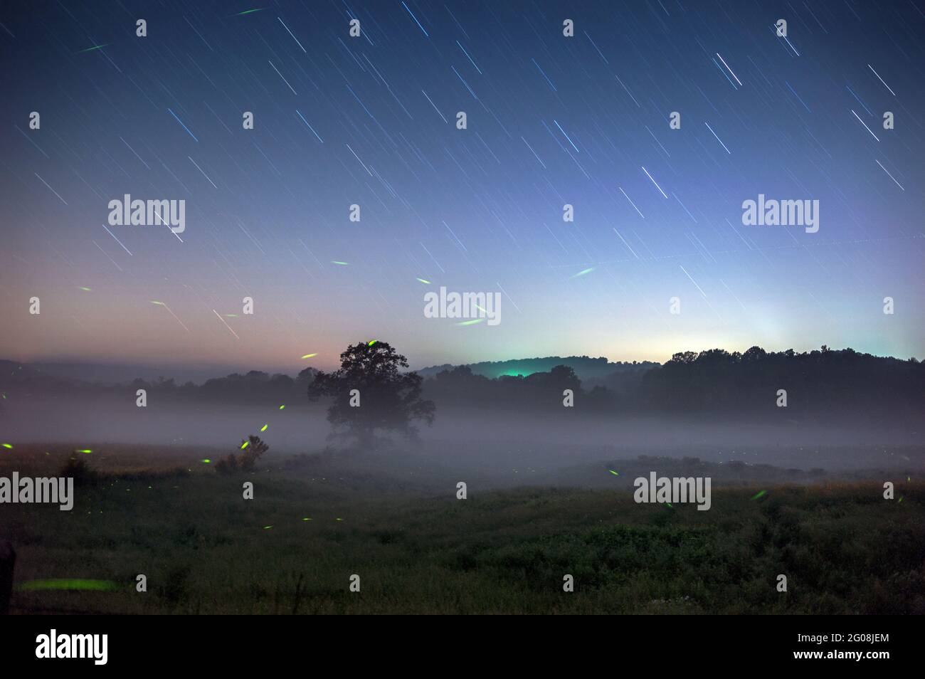 Fireflies and stars streak across a field in southern Indiana, USA Stock Photo