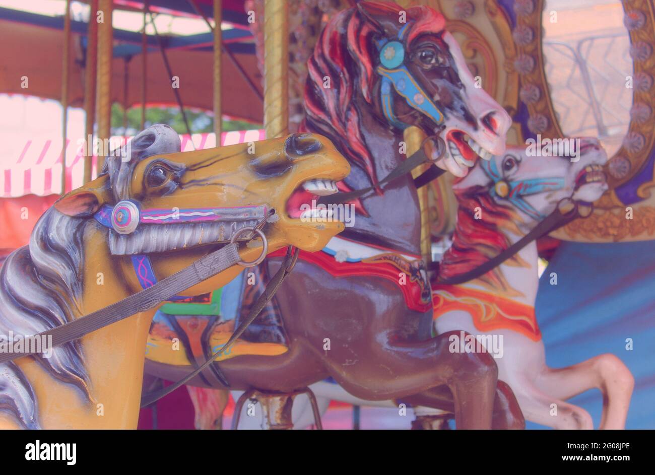 Carousel horses at rural carnival in East Texas Stock Photo Alamy