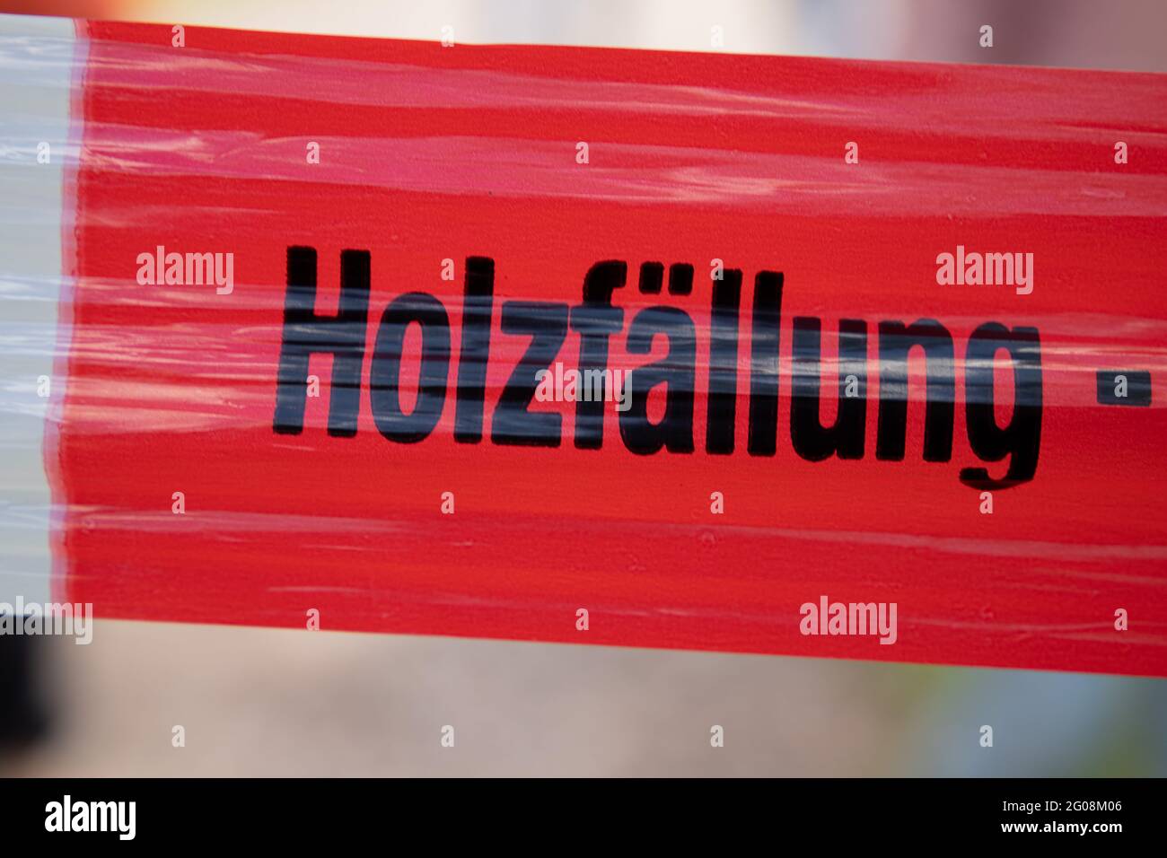 the german word for logging on a red white barrier tape in a forest Stock Photo