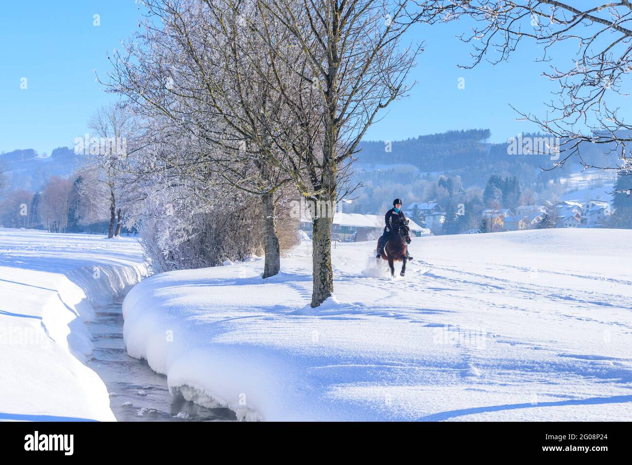 Sporty horse riding in snowy landscape Stock Photo