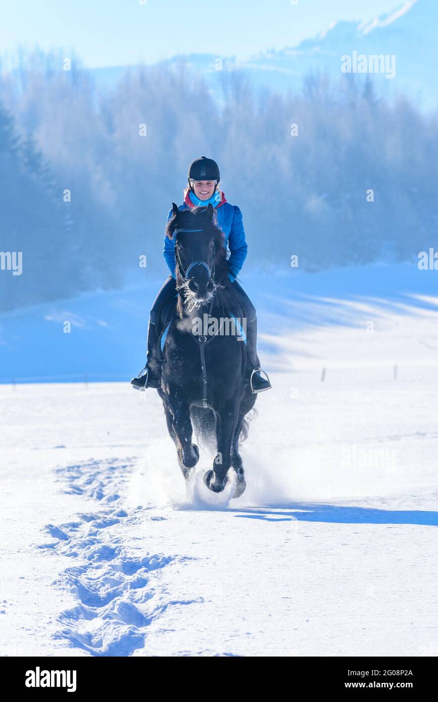 Sporty horse riding in snowy landscape Stock Photo