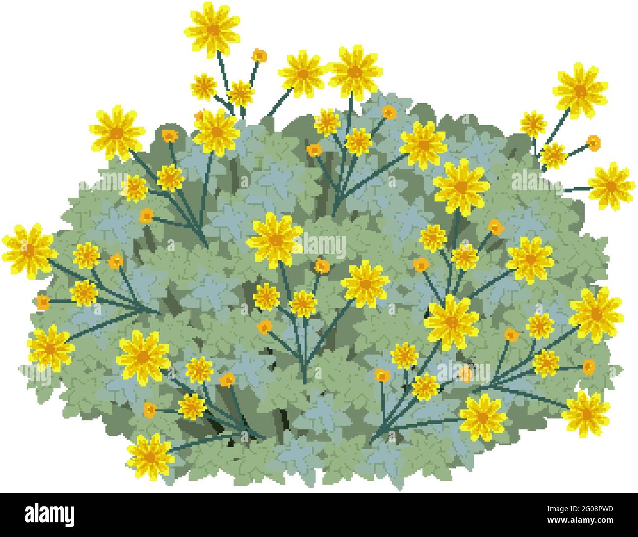 Brittlebush in cartoon style isolated on white background illustration