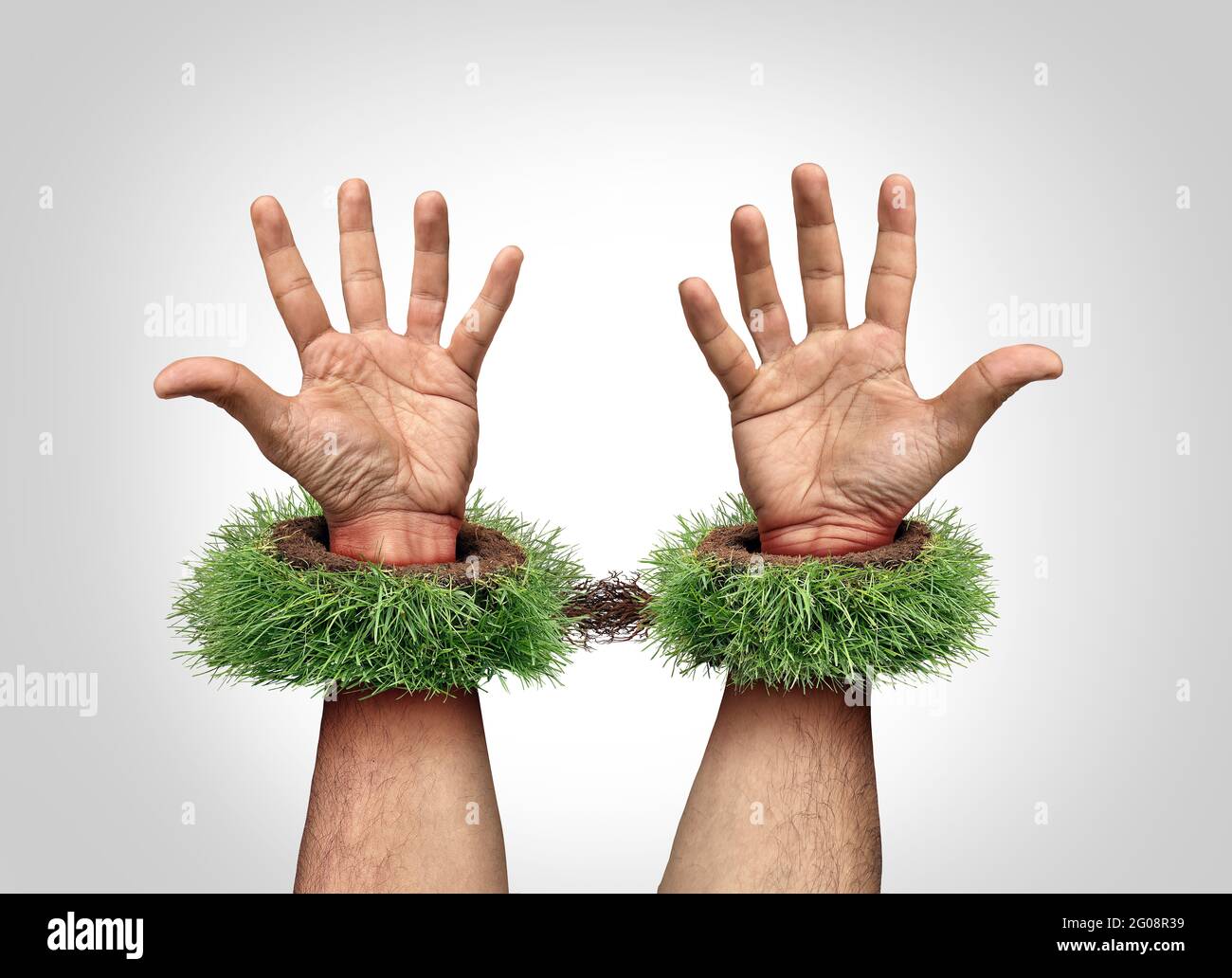 Garden work concept and being a slave to your yard chores as mowing grass and backyard landscaping job as trapped hands with handcuffs or hand cuffs. Stock Photo