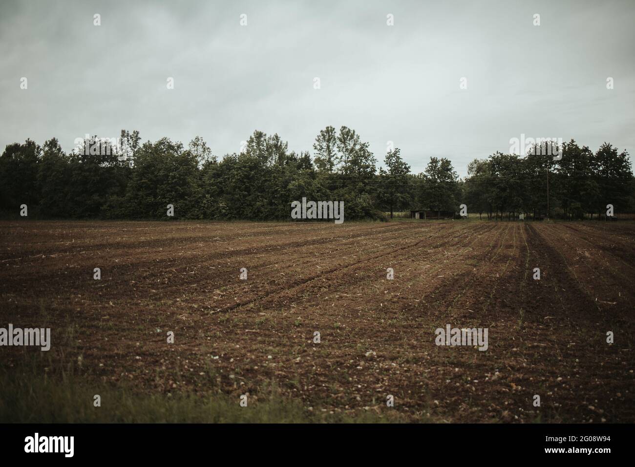 Field dry grass under hi-res stock photography and images - Alamy