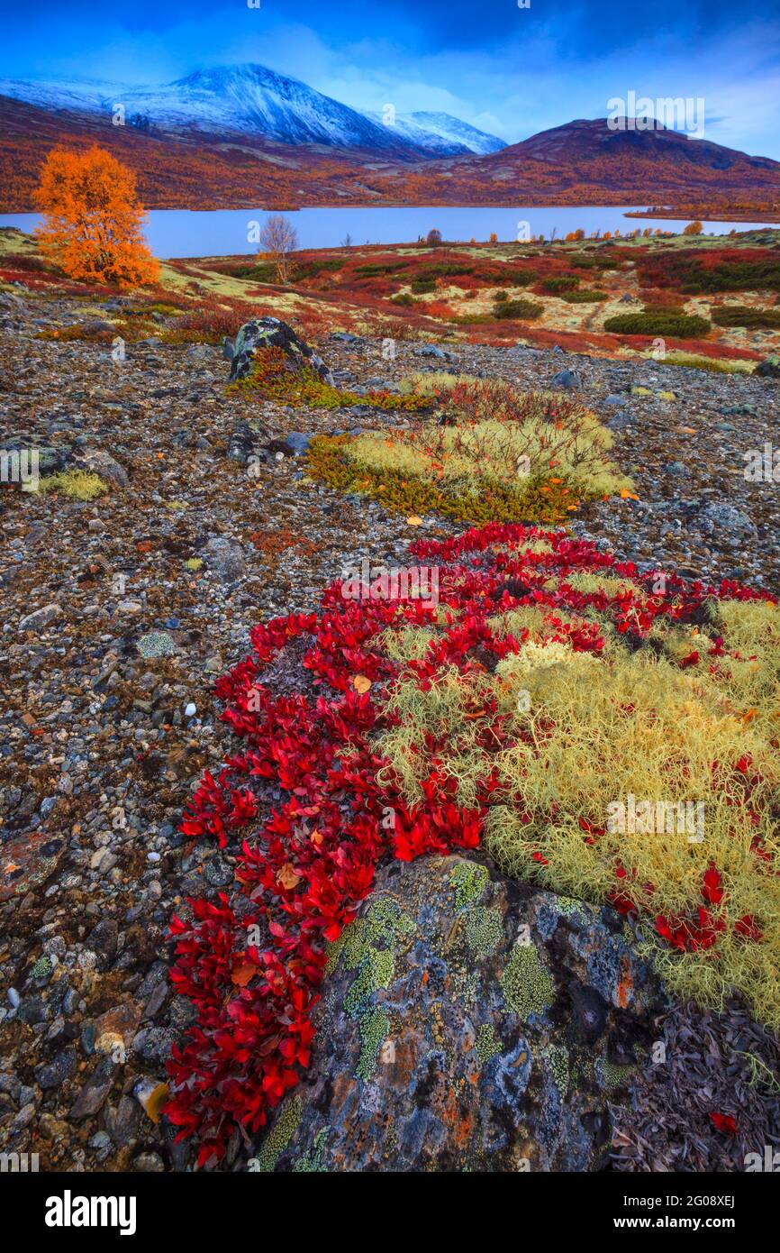 Beautiful autumn colors in open and vast landscape near the lake Avsjøen, Dovre, Norway, Scandinavia. Stock Photo