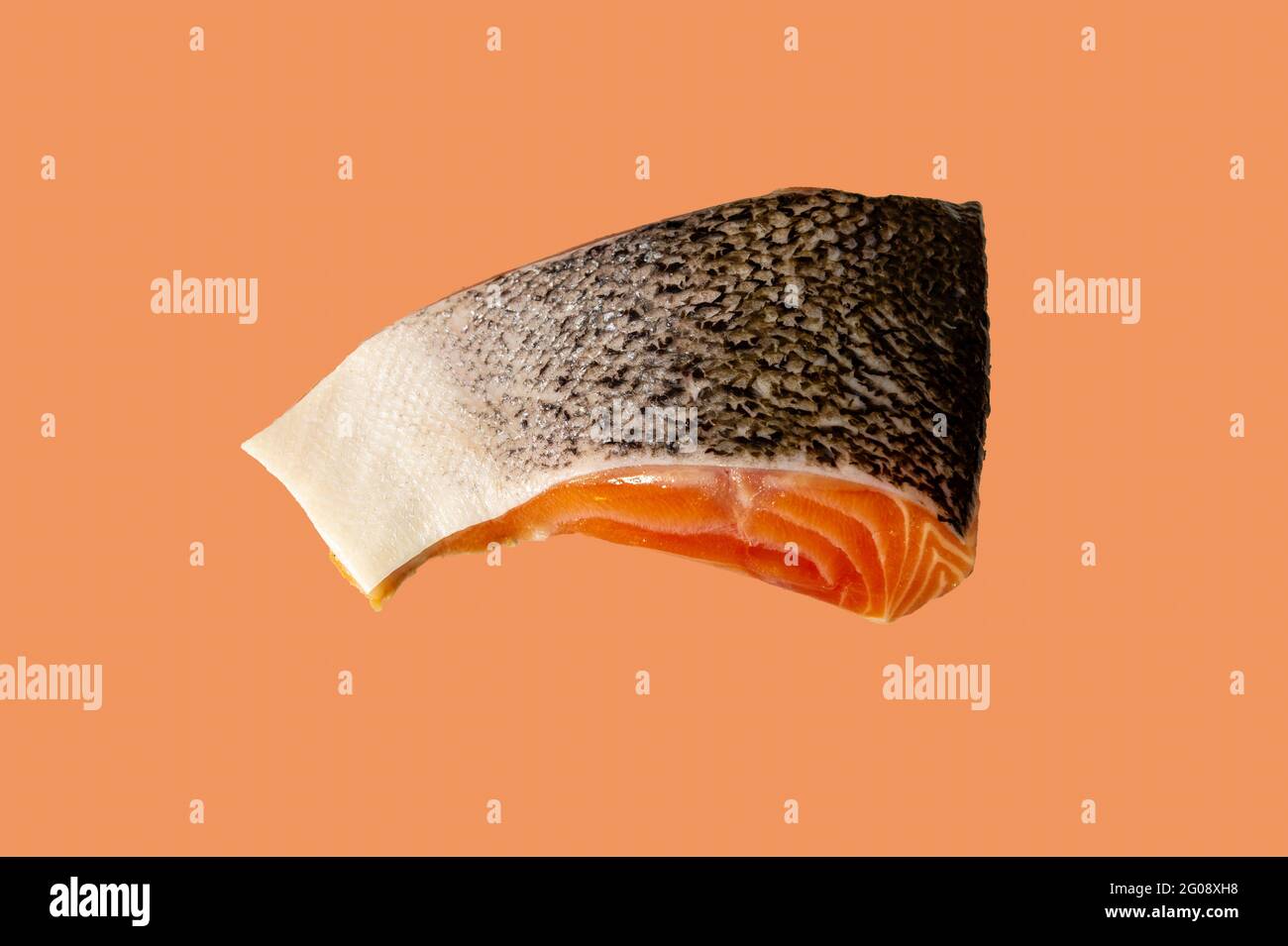 https://c8.alamy.com/comp/2G08XH8/fresh-norwegian-salmon-2G08XH8.jpg