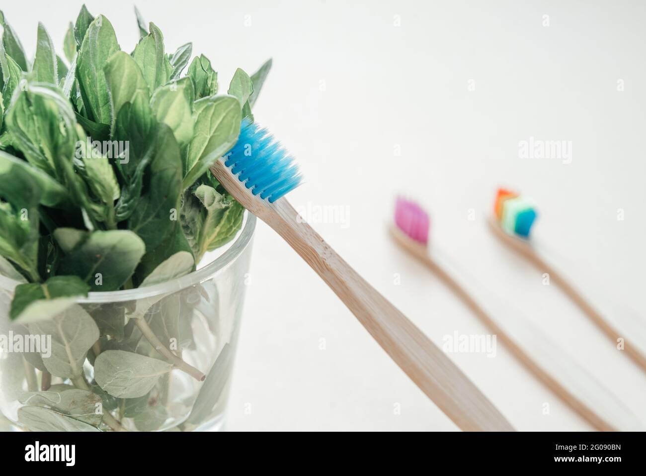 Multicolored eco friendly bamboo toothbrushes, dental care with zero ...