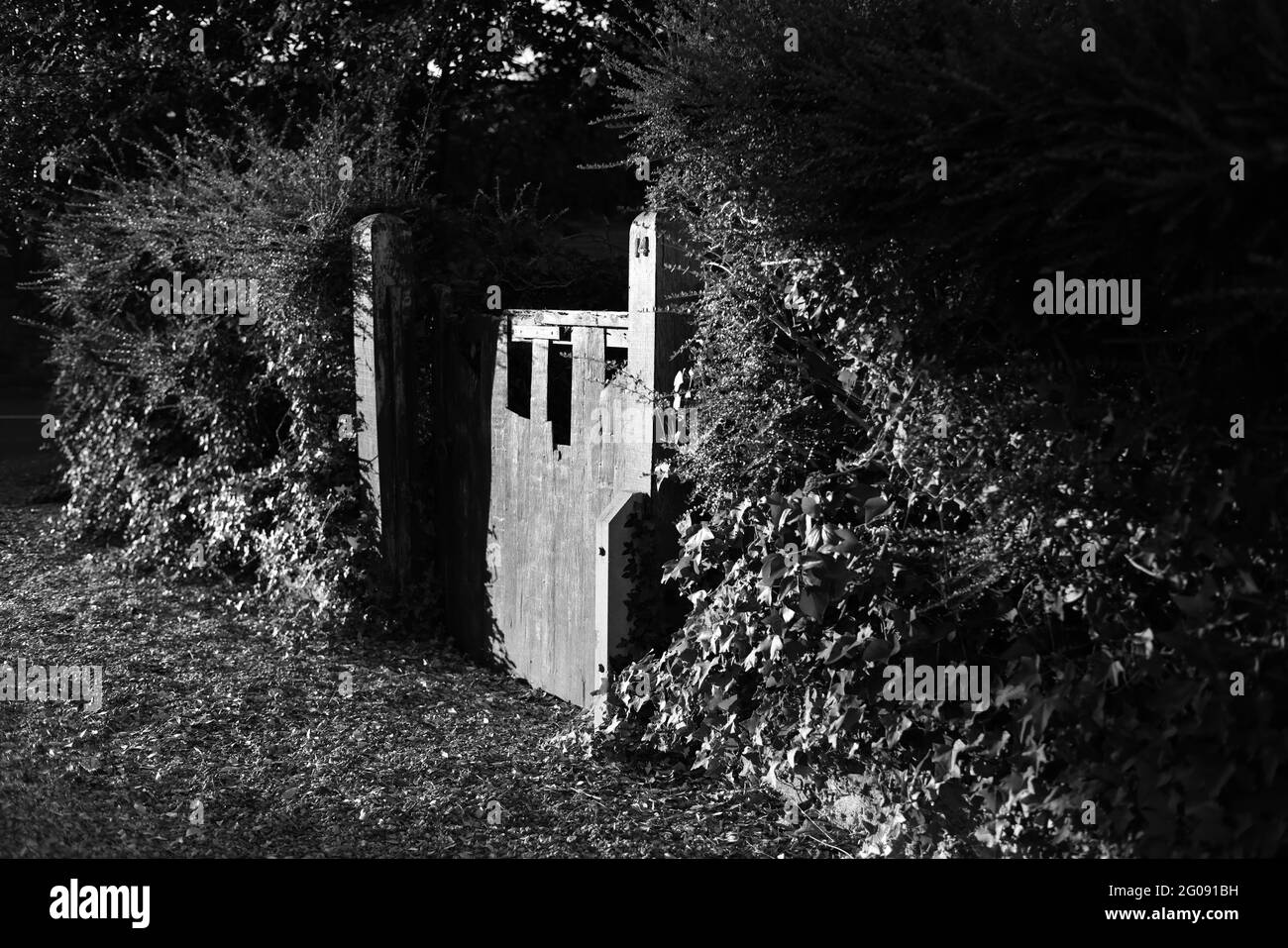 Wooden garden gate Black and White Stock Photos & Images - Alamy