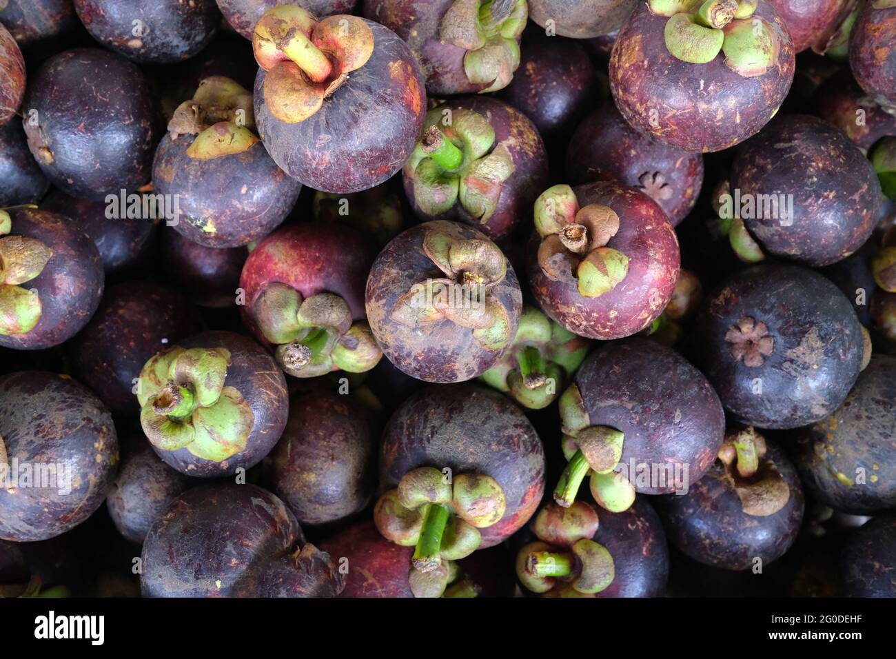 Mangosteen fruit for sale at the market Stock Photo Alamy