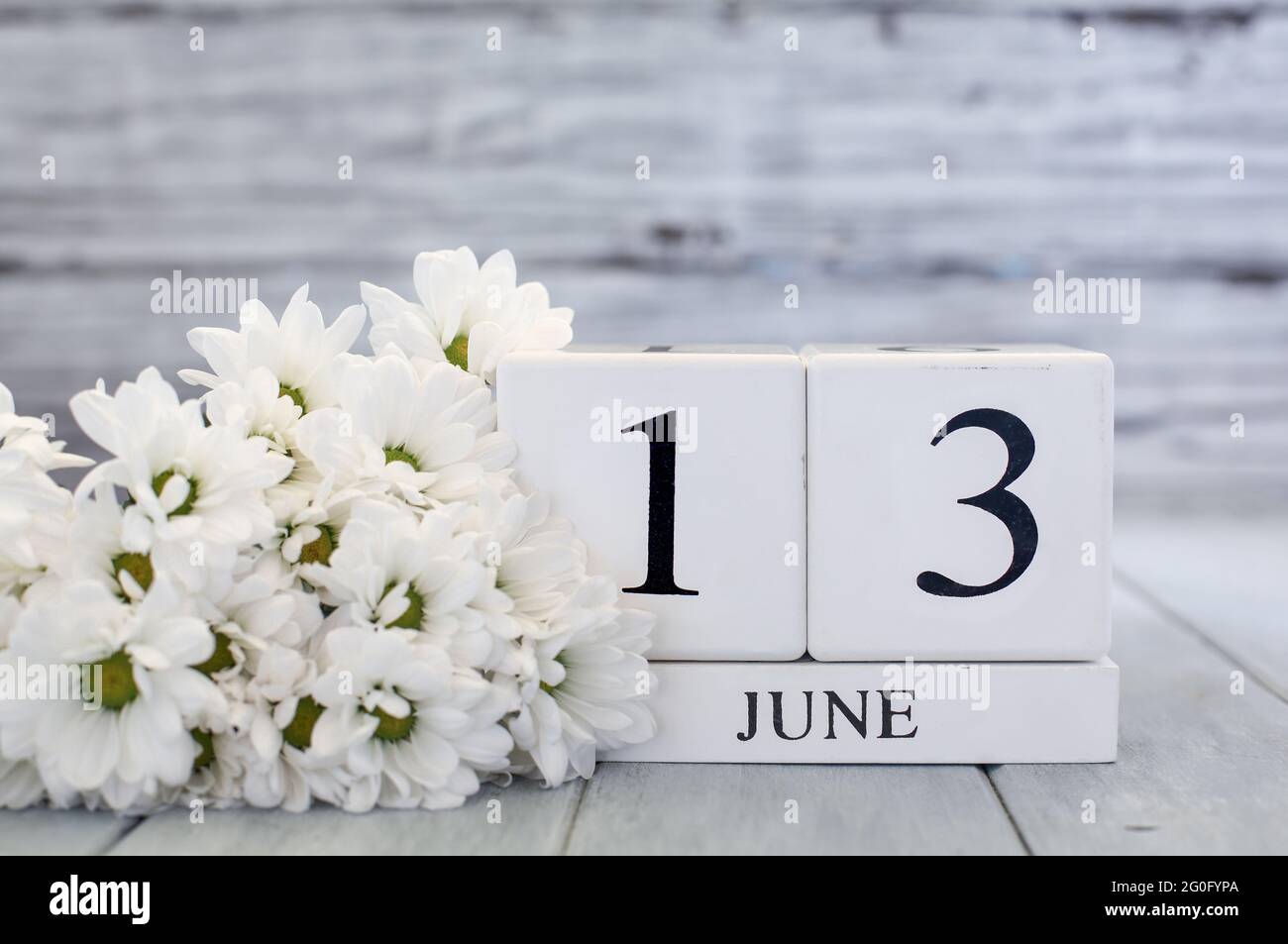 White wood calendar blocks with the date June 13th and white daisies. Selective focus with blurred background. Stock Photo