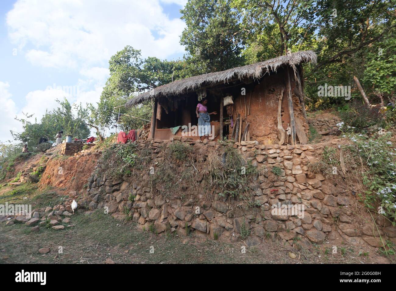 LANJIA SAORA TRIBE. Traditional house called Sing. These type of houses are called Sing. Thatched roof and wall made of stone plastered with locally a Stock Photo