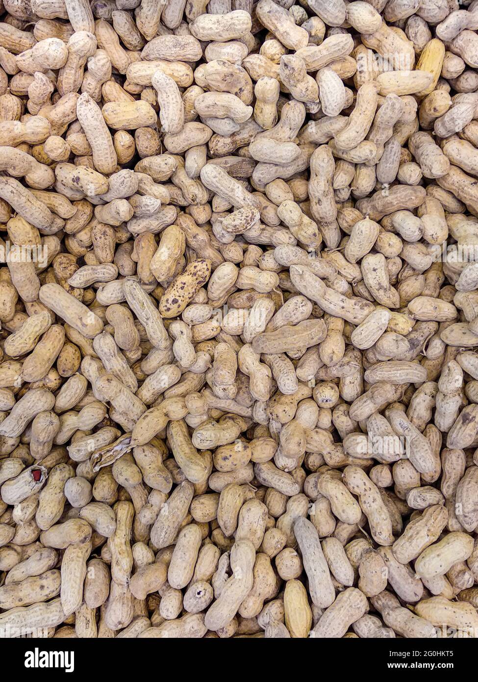 Full frame of in shell peanuts. Top view of unpeeled peanuts. Vertical layout. Flat lay. Stock Photo
