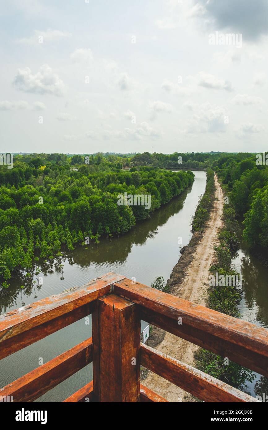 Mangrove scenery at Rak Samae bridge in Rayong province, Thailand. Stock Photo