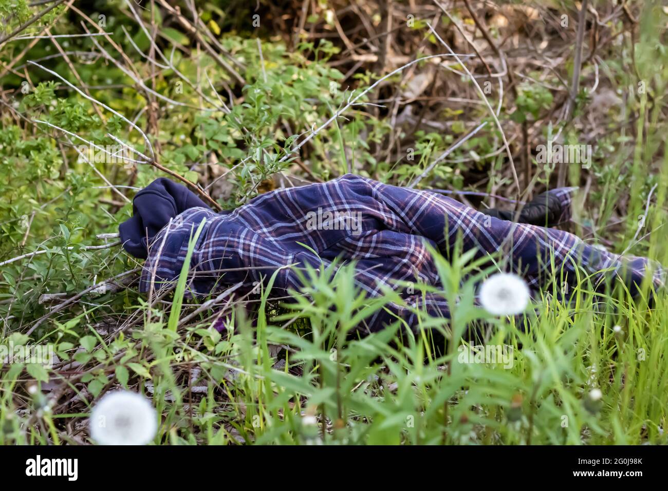 Discarded hooded blue plaid checked jacket in the woods. Looks like a dead body. Stock Photo