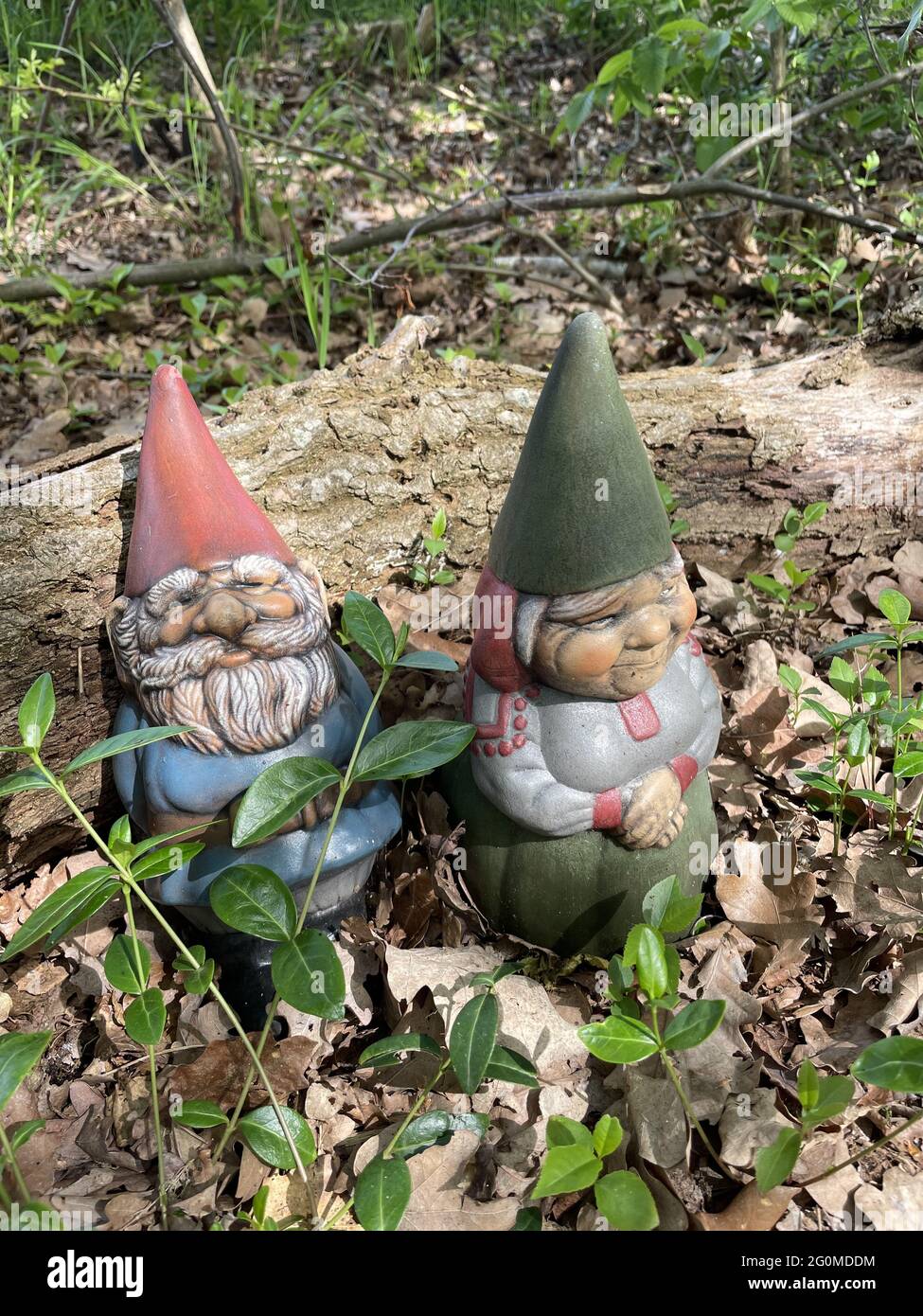 Cute decorative garden gnomes Stock Photo Alamy