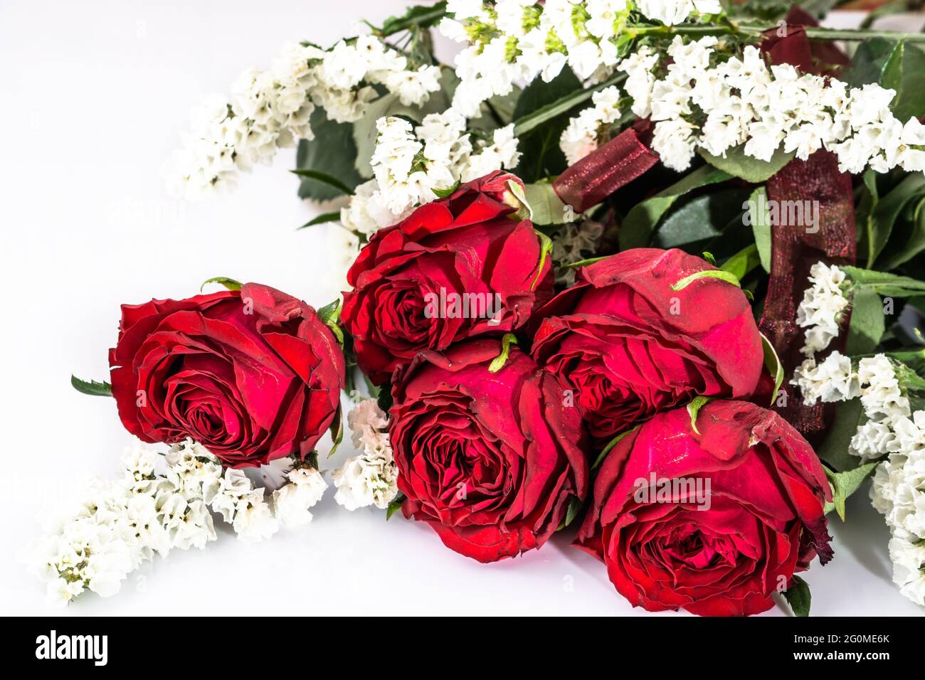 Vintage photo of roses flowers on white background Stock Photo - Alamy