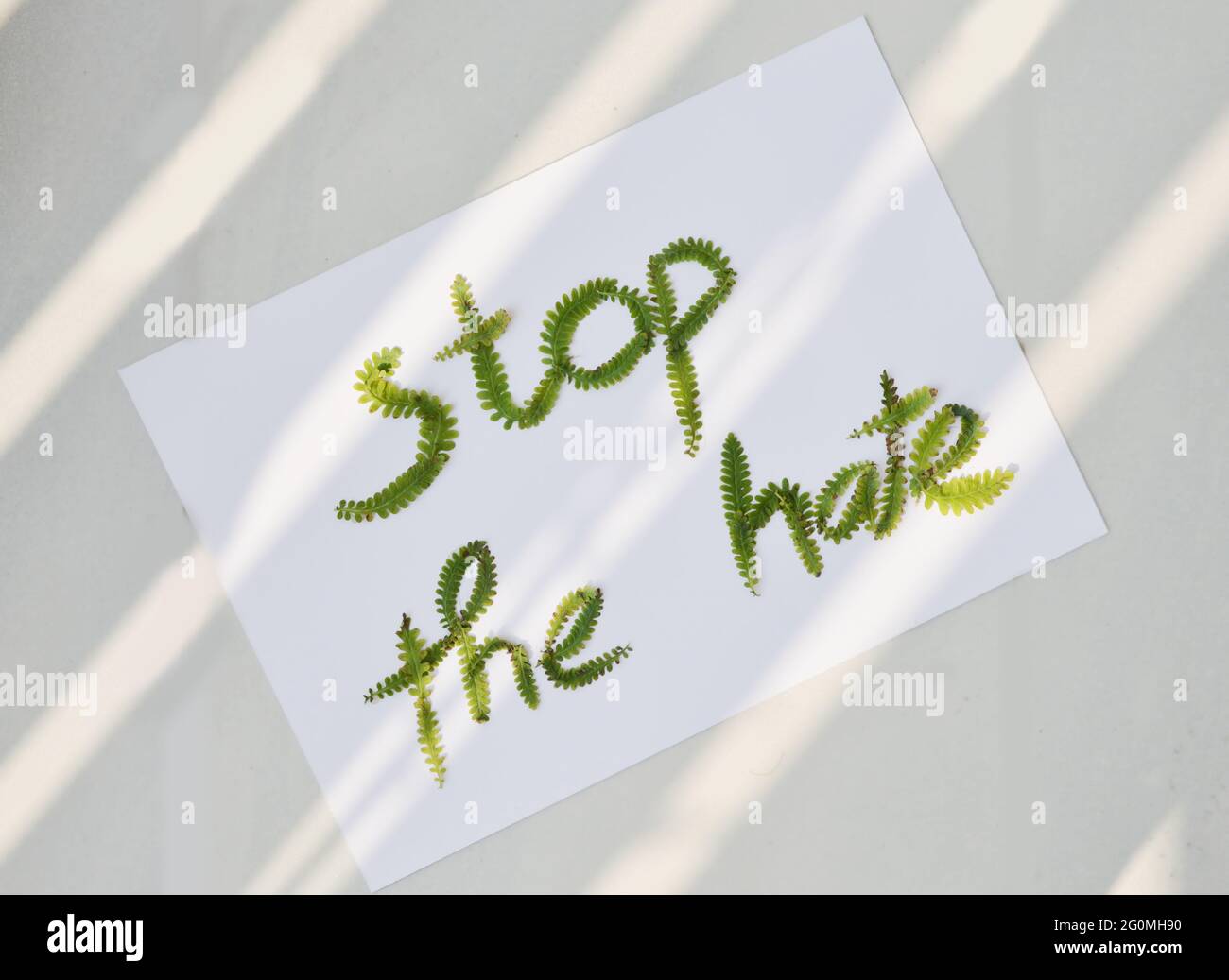 Stop The Hate sign made by lavender leaves Stock Photo