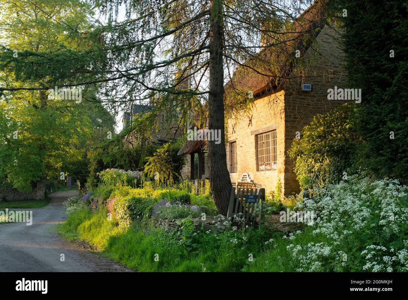 Sunrise light across a thatched cottage in the village of Ledwell, Oxfordshire, England . Stock Photo