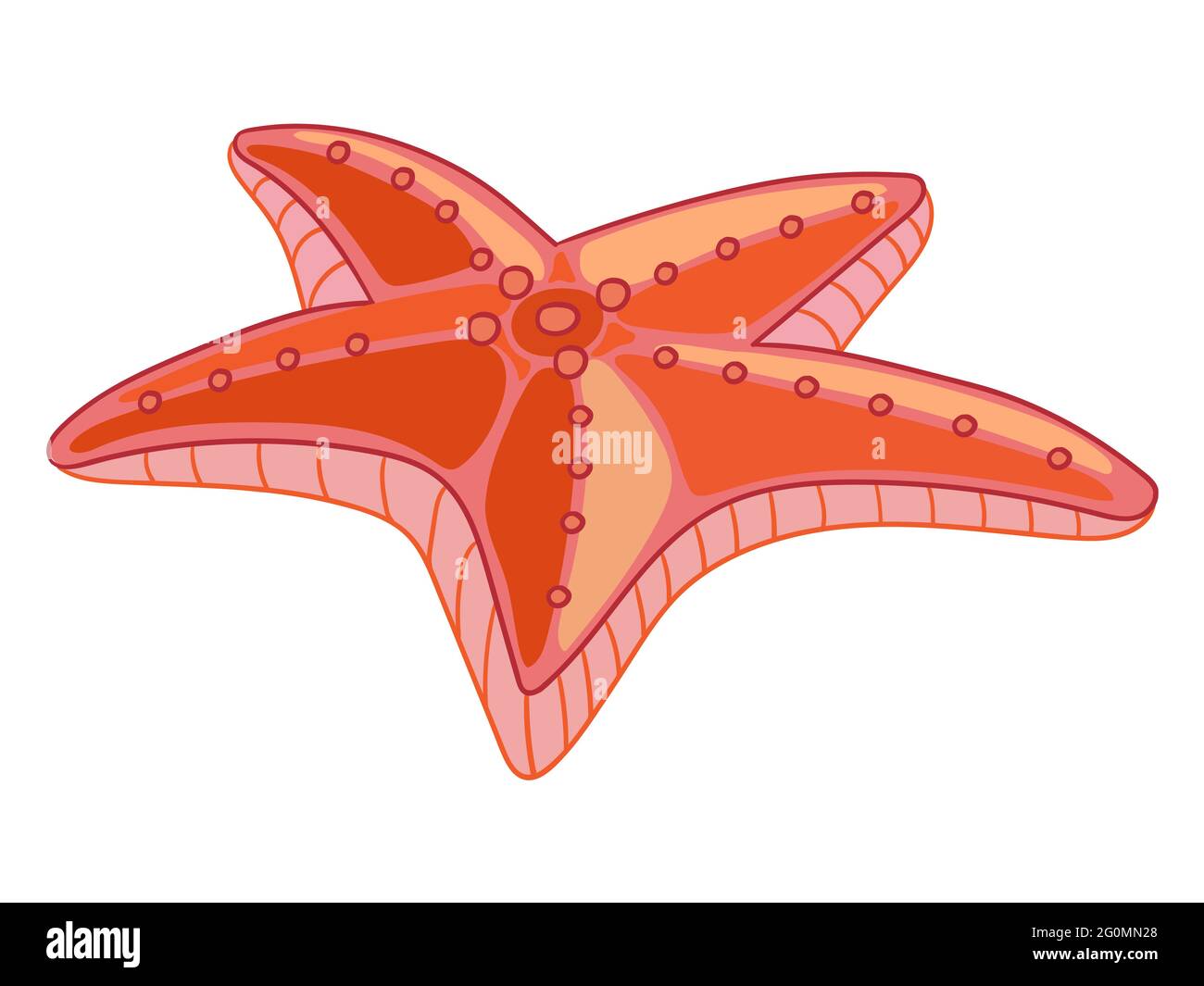 Starfish cartoon hi-res stock photography and images - Alamy