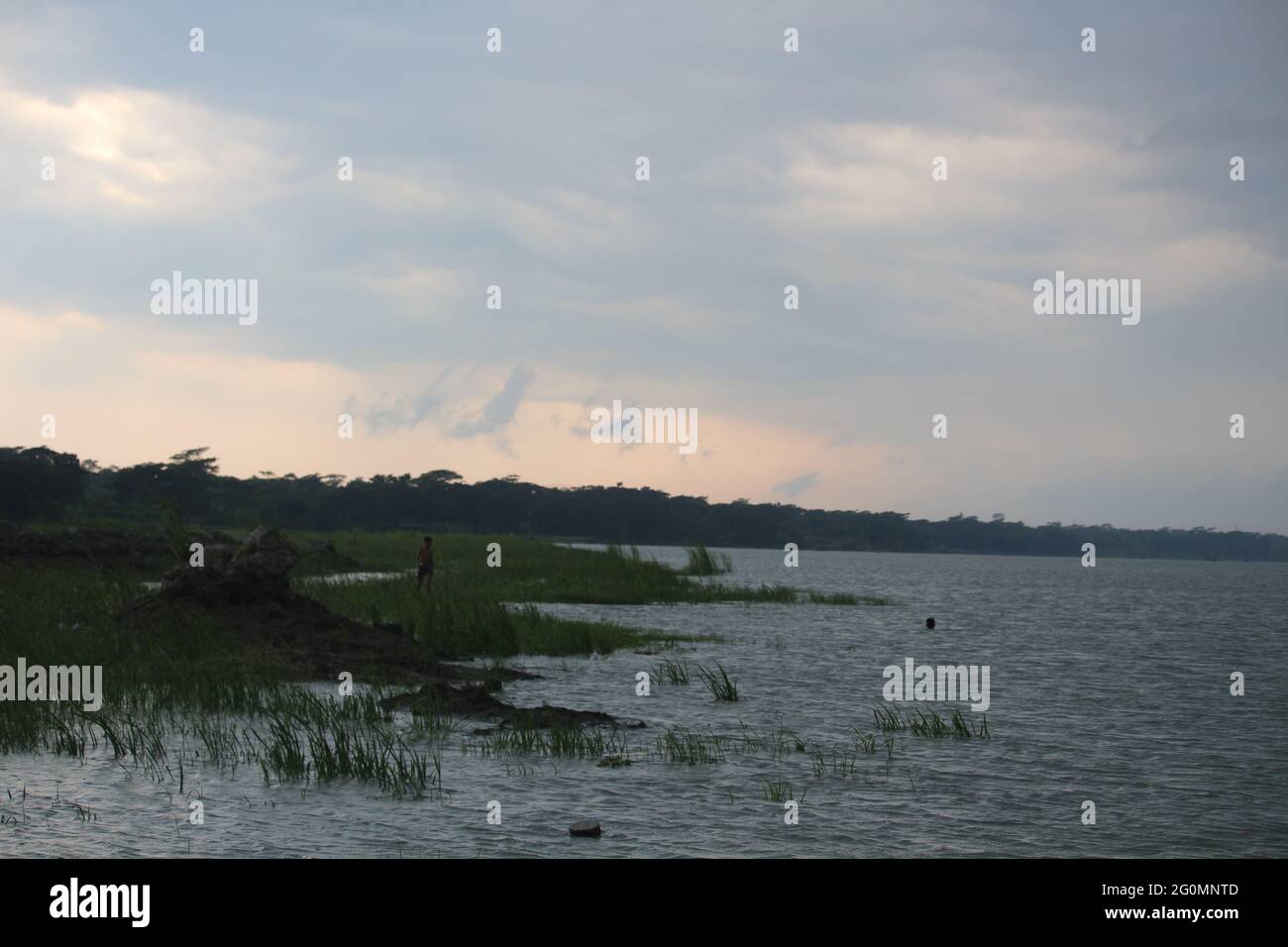 A lake with a distant view of trees along its far horizon, under puffy white clouds in a blue sky. A straight horizon. Stock Photo