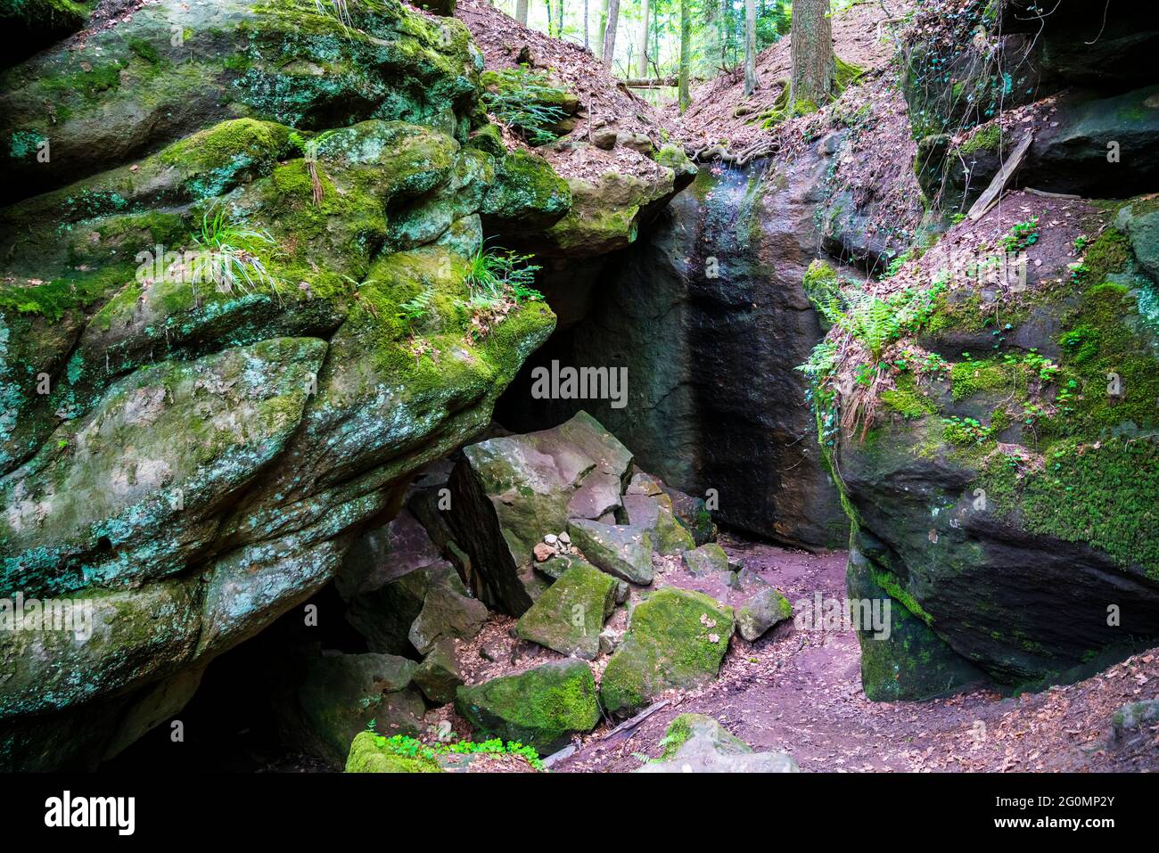 Germany, Gallengrotte caves covered with green moss and plants deep in the jungle like forest of welzheimer wald near ebnisee and kaisersbach Stock Photo