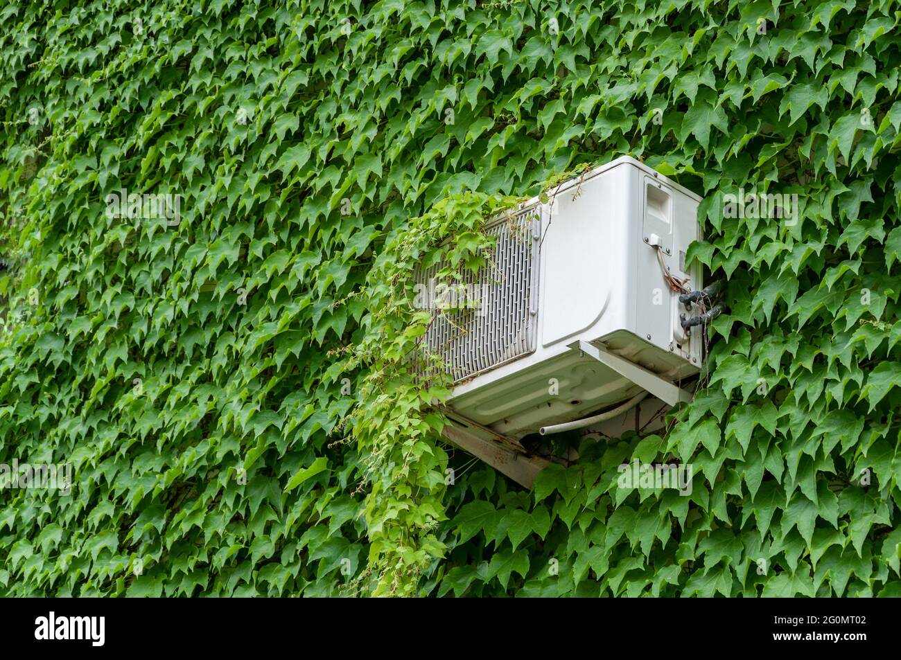 Air conditioning service maintenance. AC units and generator. Outside