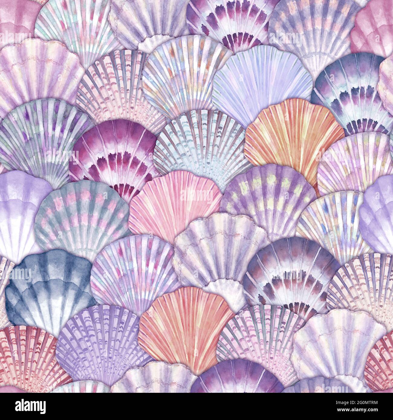 Seashell Pattern