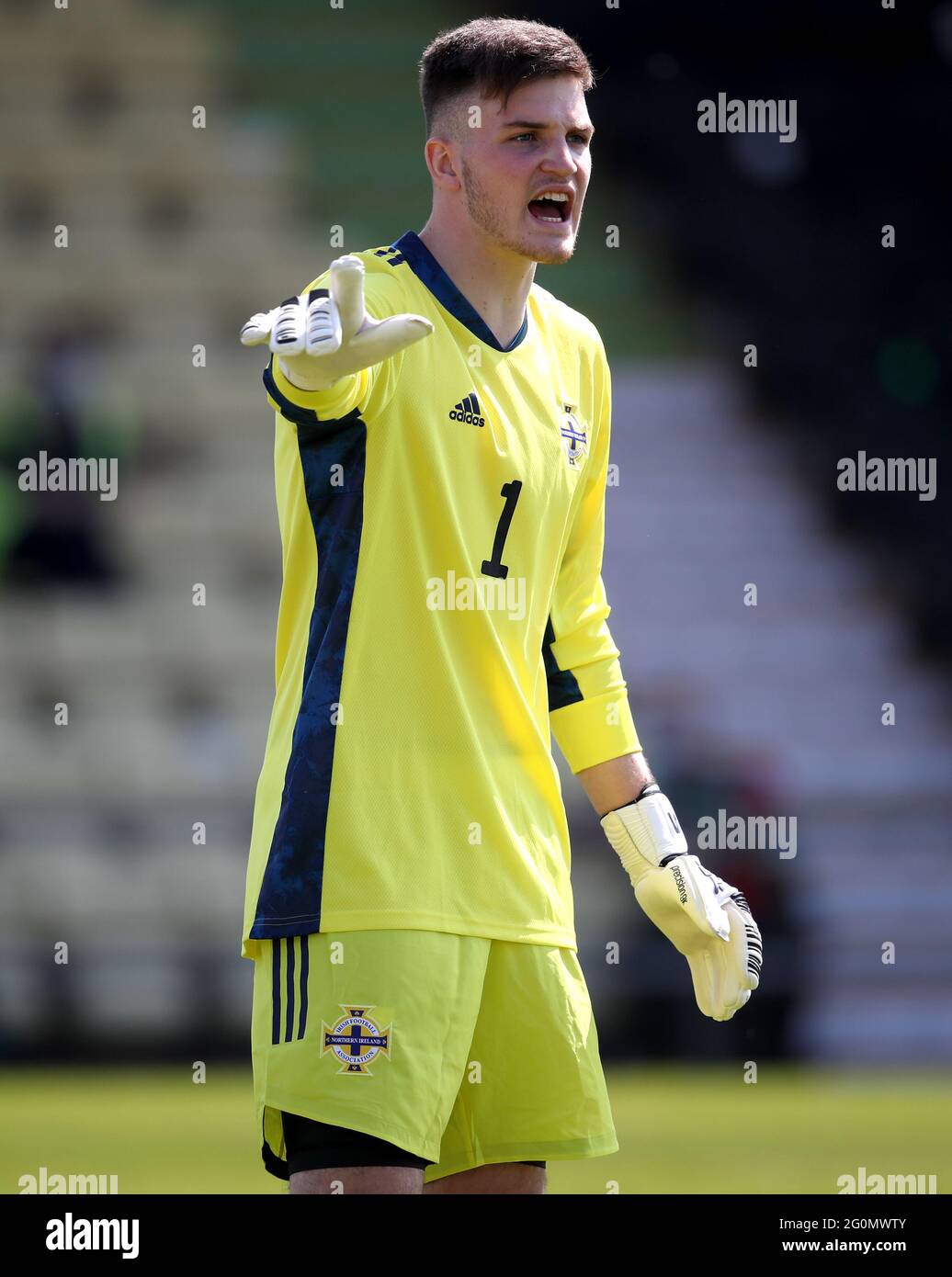 Northern Ireland goalkeeper Dermot Mee during the International ...