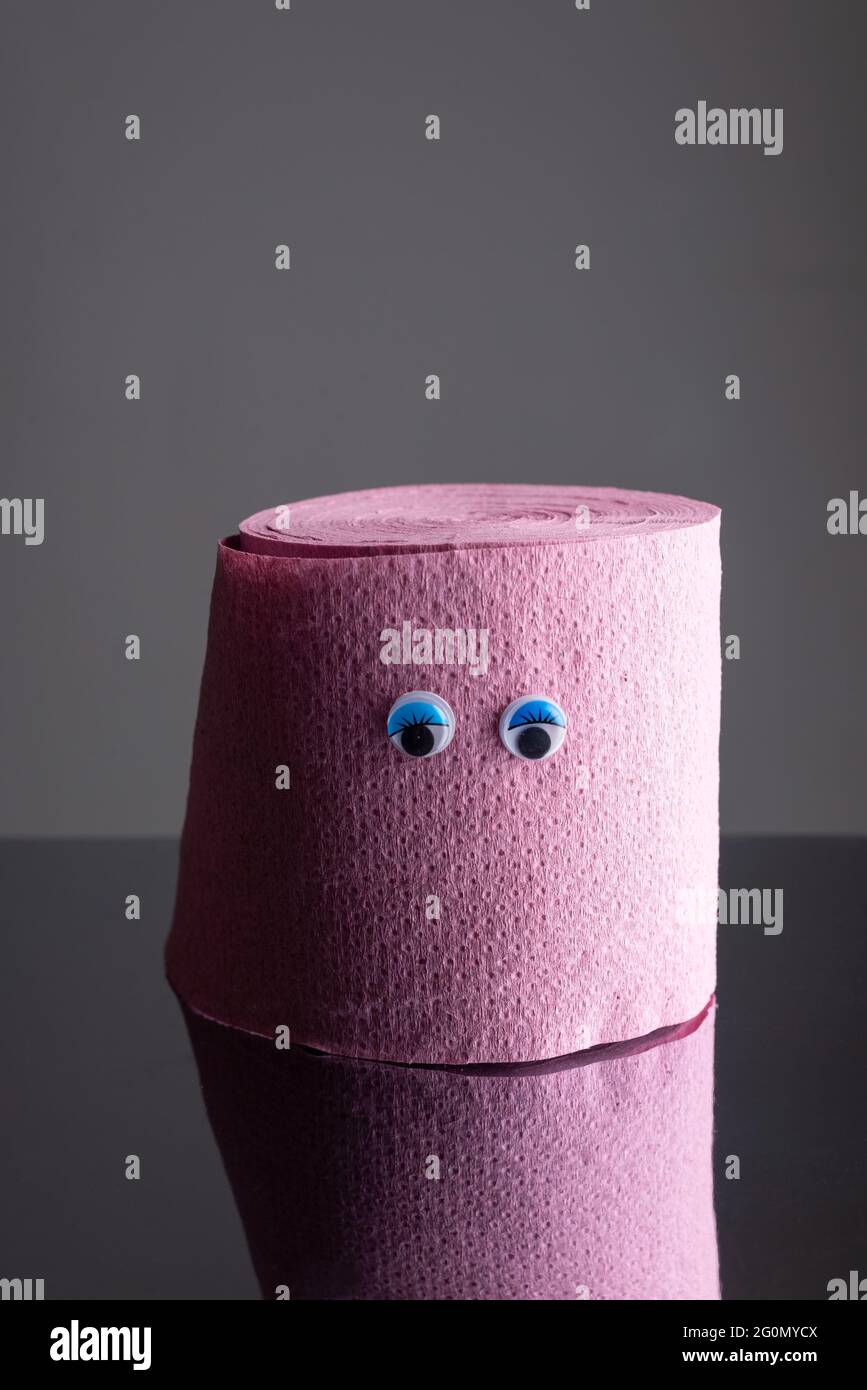 roll of toilet paper with funny eyes on a dark background. Comic concept  Stock Photo - Alamy