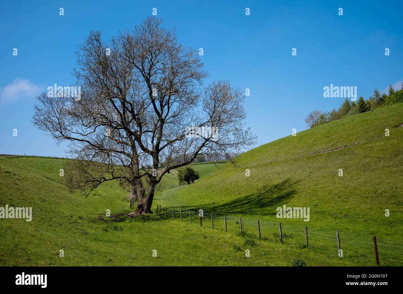 The Head of Horse Dale NW of Huggate, Yorkshire Wolds, UK Stock Photo