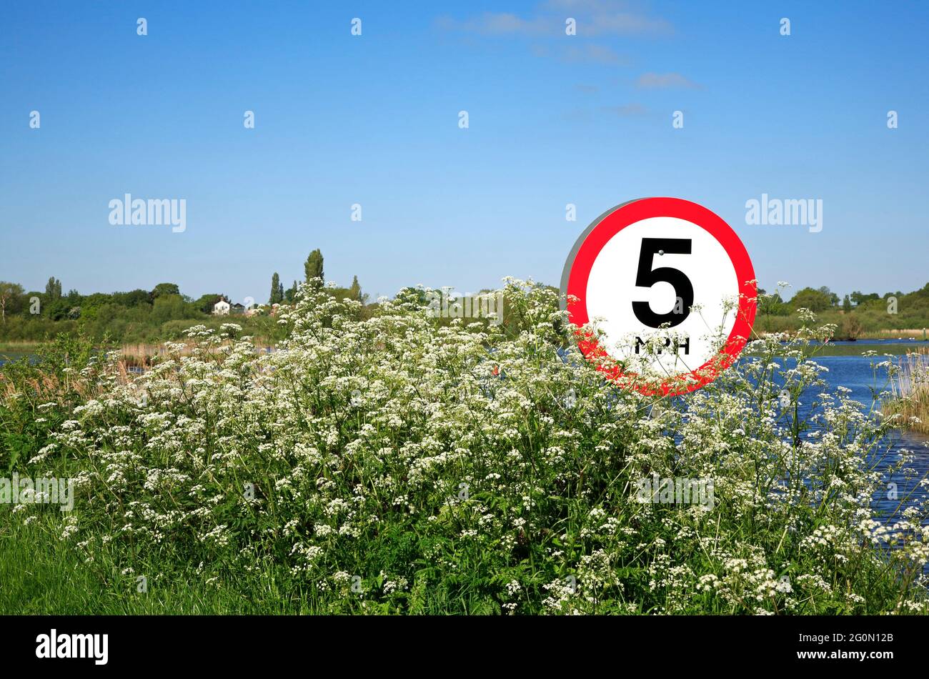 A 5 mph speed limit sign with Cow Parsley at entrance to Rockland Broad on the Norfolk Broads at Rockland St Mary, Norfolk, England, United Kingdom. Stock Photo