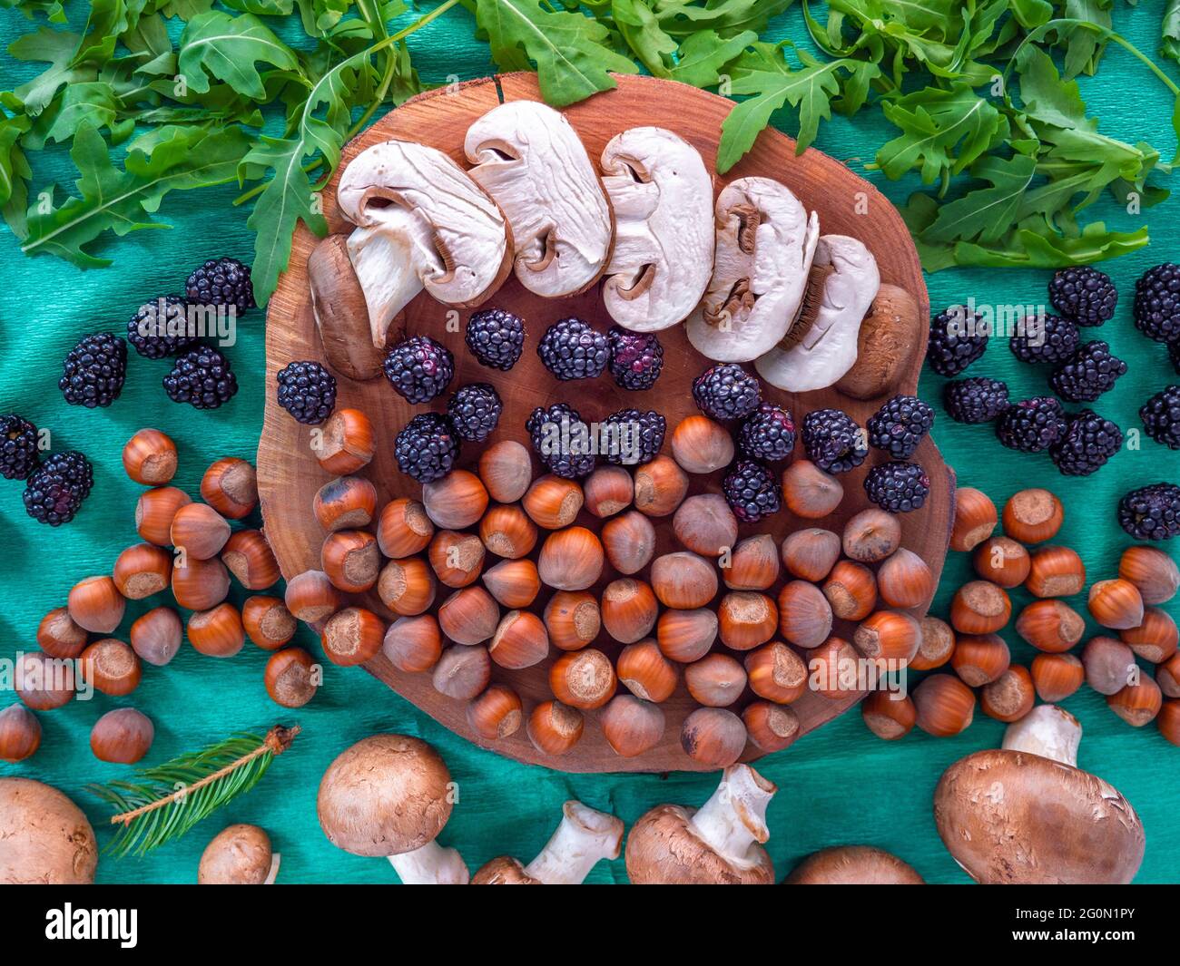 Healthy autumn food selection: white sliced mushrooms, shelled hazelnuts, arugula rocket salad, blackberries, and tiny fir branch on green background. Stock Photo
