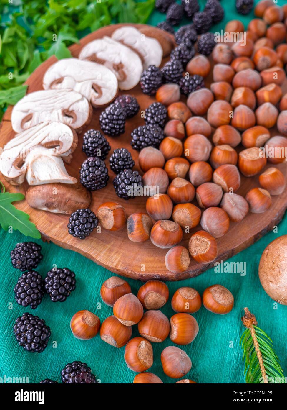 Healthy autumn food selection: white sliced mushrooms, shelled hazelnuts, arugula rocket salad, blackberries, and tiny fir branch on green background. Stock Photo