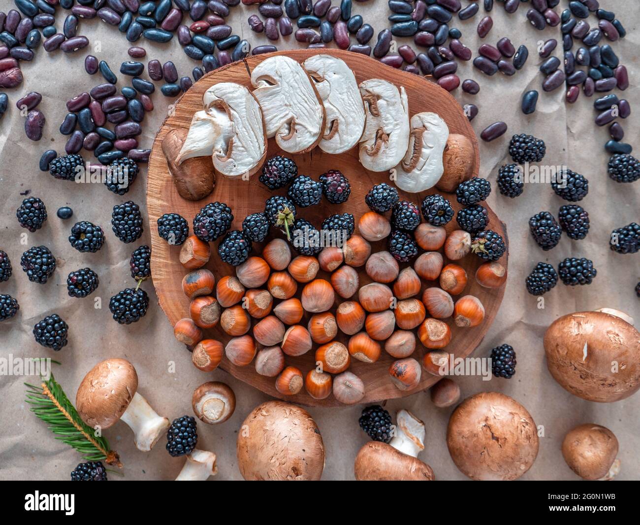 Healthy autumn food selection: white sliced mushrooms, shelled hazelnuts, purple kidney beans, blackberries, and tiny fir branch on a slice of wood. Stock Photo