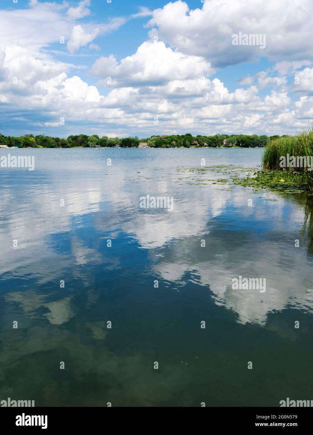 Looking out over a rural Wisconsin lake, Ashippun Lake in Waukesha county.  Cumulus clouds are reflected in the calm waters.  Shoreline is covered by Stock Photo