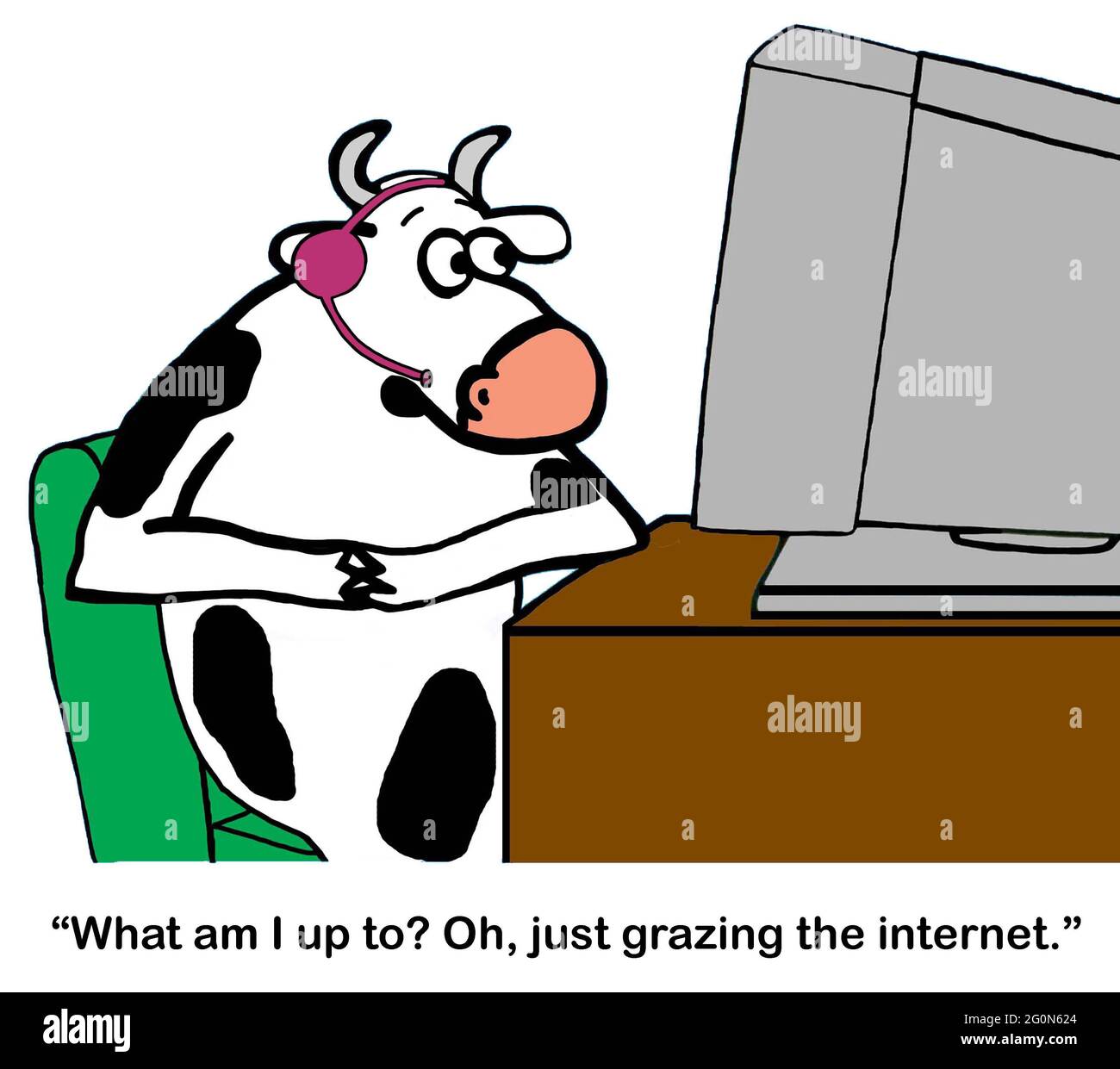 A cow is passing time at work Stock Photo